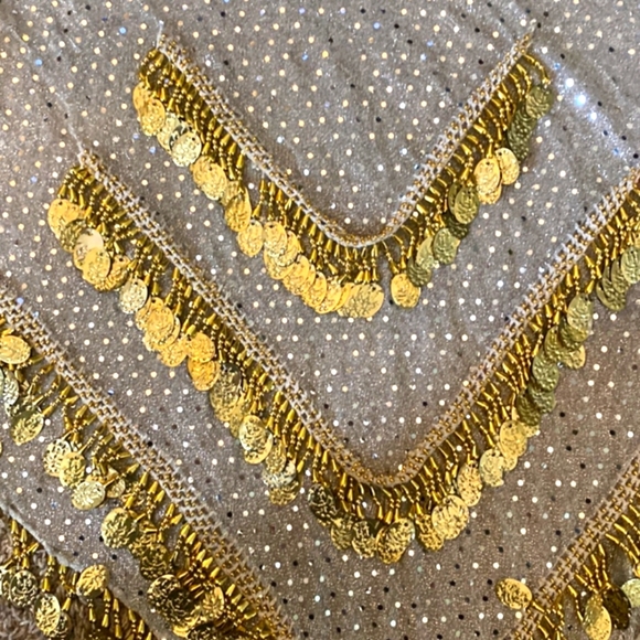 BELLY DANCING COIN BELT Heavy with coins, EUC skirt overlay - Picture 2 of 3